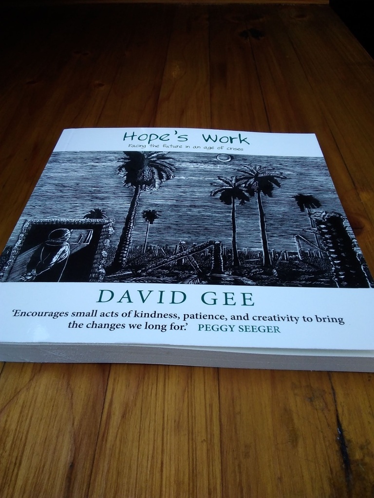 Photo of book Hope's Work by David Gee