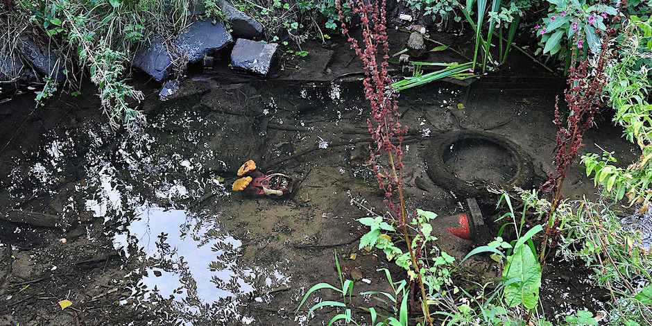 Photo of a stream and its bed, strewn with litter and surrounded by foliage